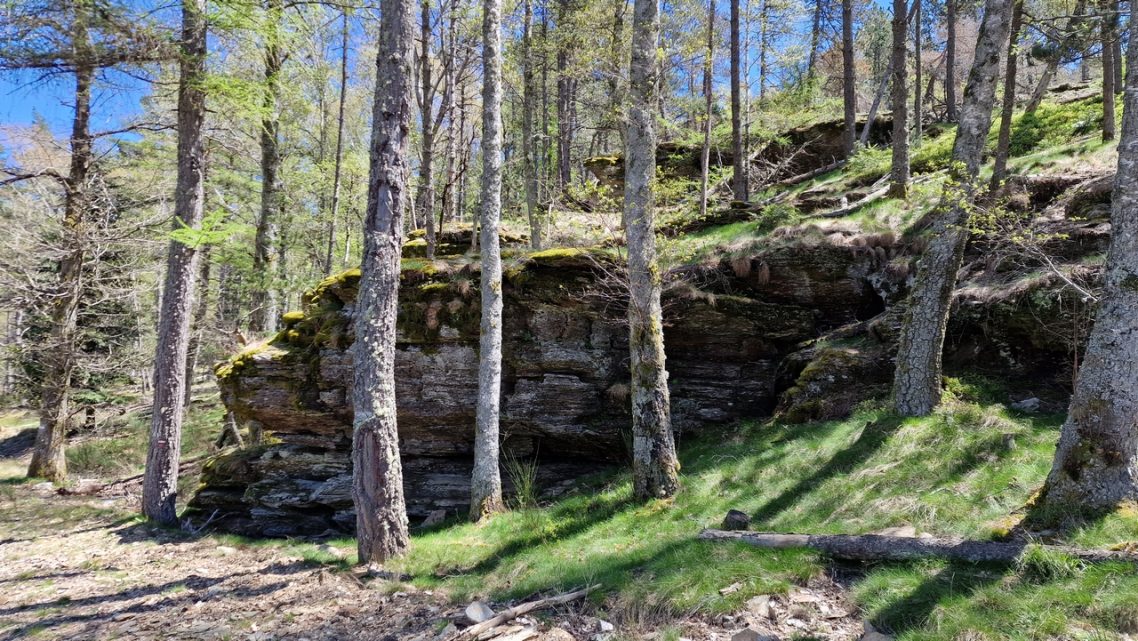 GR67