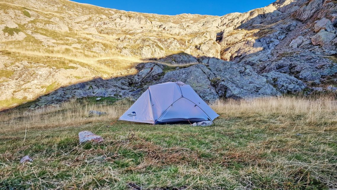 GR54