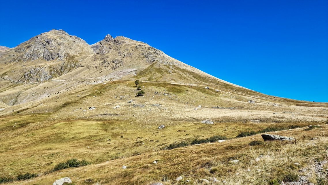 GR54