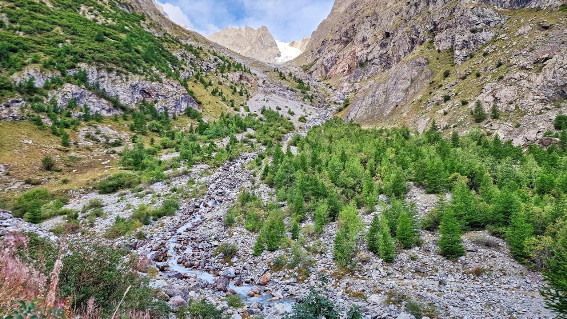 GR54