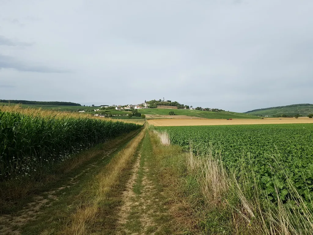 GR14